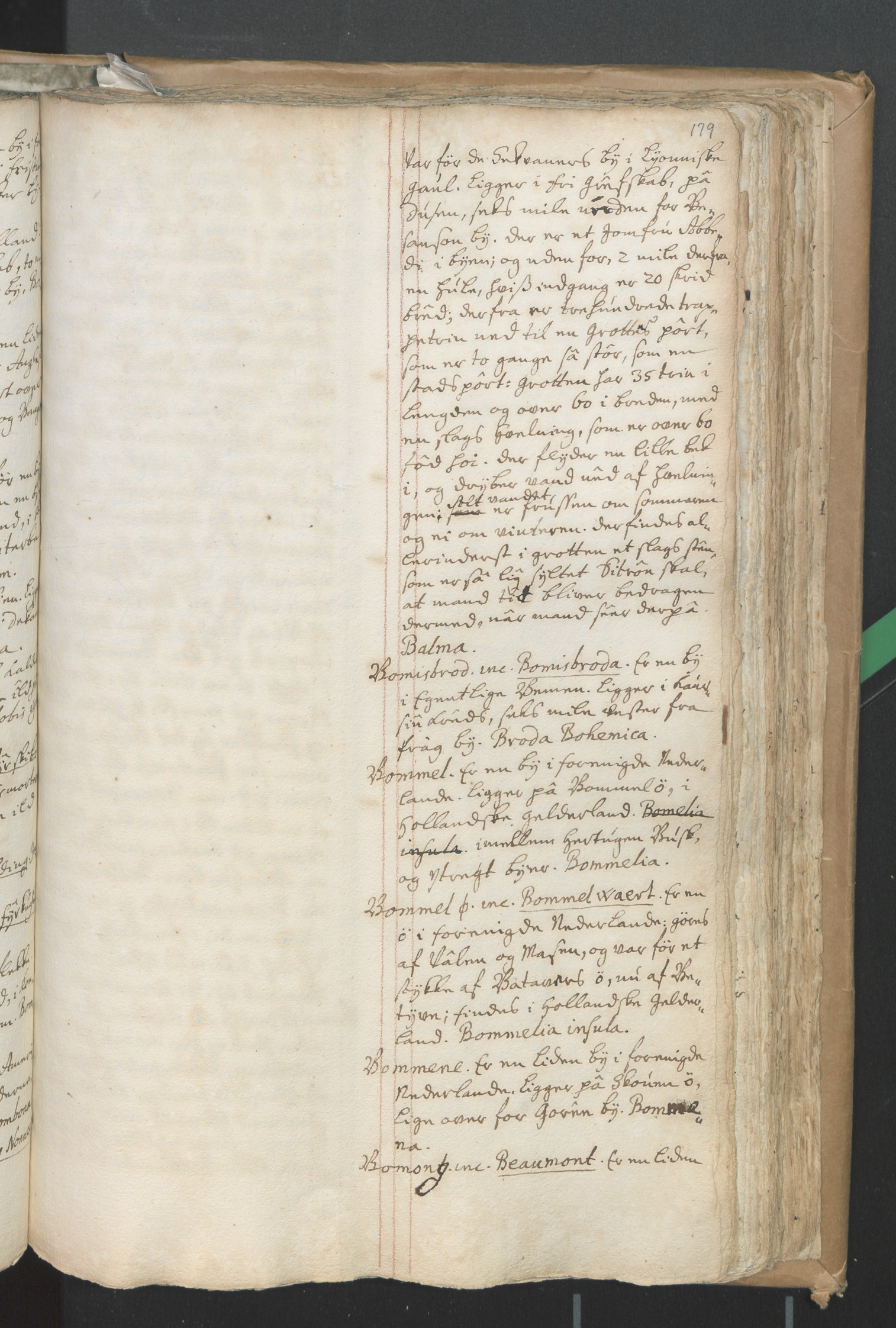 bommel — Moths ordbog